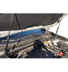 Амортизаторы (упоры) капота на Toyota RAV4 ARBORI.HD.043102