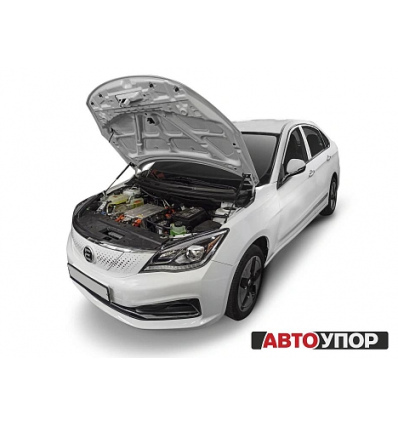 Амортизаторы (упоры) капота на Evolute I-Pro UEVIPR011