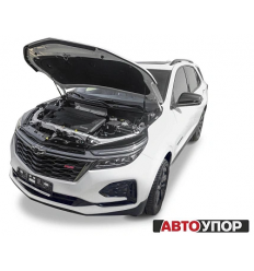 Амортизаторы (упоры) капота на Chevrolet Equinox UCHEQU011