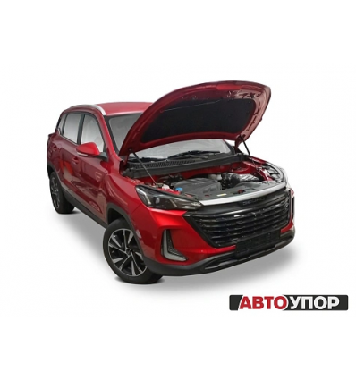 Амортизаторы (упоры) капота на BAIC X35 UBAX35011
