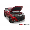 Амортизаторы (упоры) капота на BAIC X35 UBAX35011