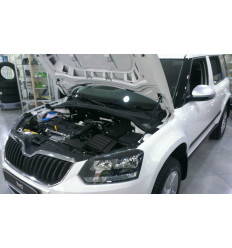 Амортизатор капота на Skoda Yeti KU-SK-YT00-01