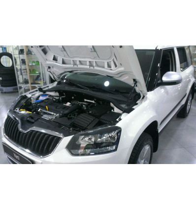 Амортизатор капота на Skoda Yeti KU-SK-YT00-01