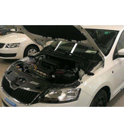 Амортизатор капота на Skoda Rapid KU-SK-RP00-00