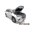 Амортизатор (упор) капота на Haval M6 UHAM6011