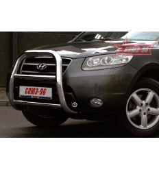 Решетка передняя мини на Hyundai Santa Fe HSFE.55.0319