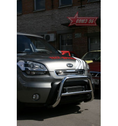 Решетка передняя мини на Kia Soul KSOU.56.0834