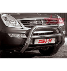 Решетка передняя мини на Ssang Yong Rexton SYRX.56.0019