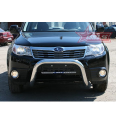 Решетка передняя мини на Subaru Forester SUFR.56.0687
