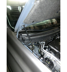 Амортизатор (упор) капота на Nissan X-Trail BD09.10