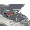 Амортизатор (упор) капота на Datsun on-DO UDAOND/MID012