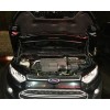 Амортизатор (упор) капота на Ford Ecosport BD02.08