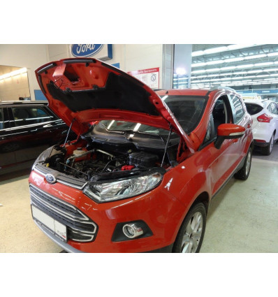 Амортизатор (упор) капота на Ford Ecosport KU-FD-ES00-00