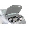 Амортизатор (упор) капота на Chevrolet Aveo UCHAVE011