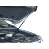 Амортизатор (упор) капота на Nissan Pathfinder UNIPAT021