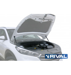 Амортизатор (упор) капота на Hyundai Tucson А.2306.1