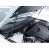 Амортизатор (упор) капота на Mazda 6 MAZ615-02Y