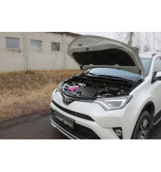 Амортизатор (упор) капота на Toyota Rav 4 TOYRAV15-10Y