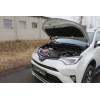 Амортизатор (упор) капота на Toyota Rav 4 TOYRAV15-10Y