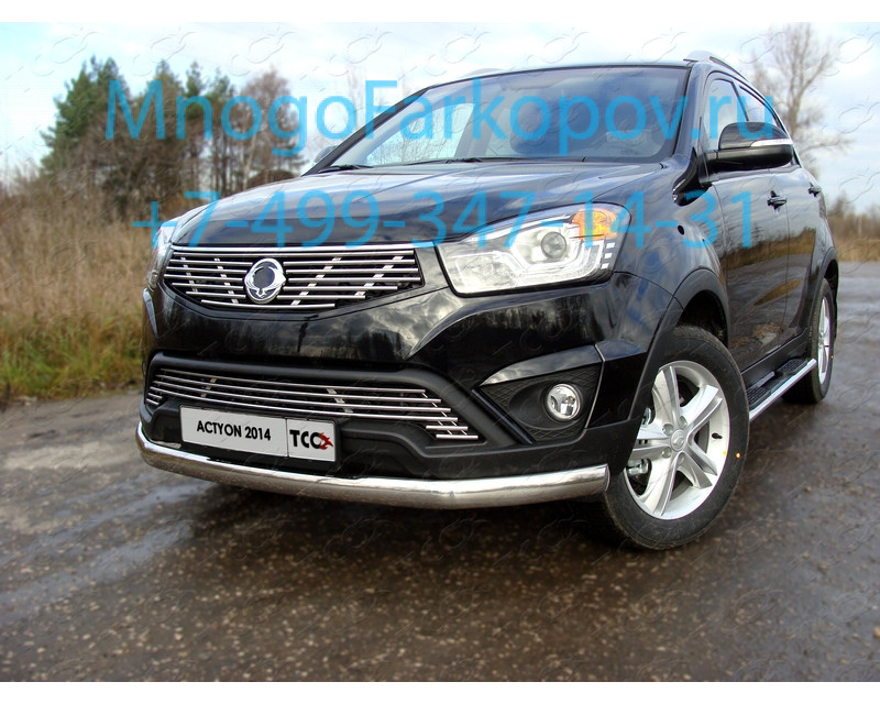 Защита ssangyong actyon