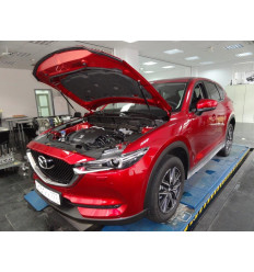 Амортизатор (упор) капота на Mazda CX-5 KU-MZ-CX05-02