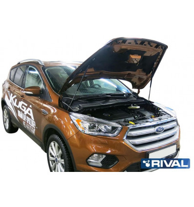 Амортизатор (упор) капота на Ford Kuga A.ST.1806.1