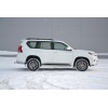 Фаркоп на Toyota Land Cruiser Prado 150 09021501