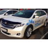 Дефлектор капота (отбойник) на Toyota Venza STOVEN0812