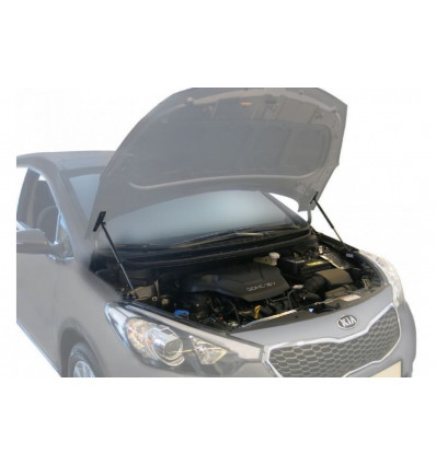 Амортизатор (упор) капота Kia Cerato AK.2805.1