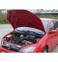 Амортизатор (упор) капота на Ford Focus 1 8231.6000.04