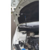 Амортизатор (упор) капота на Hyundai i30 8231.8200.04
