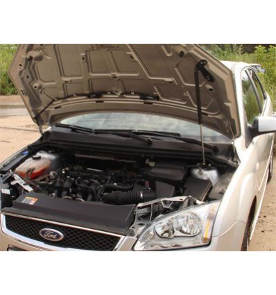 Амортизатор (упор) капота на Ford Focus 2 8231.5400.04/8231.5410.04