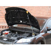 Амортизатор (упор) капота на Ford Focus 2 8231.6700.04/8231.5410.04