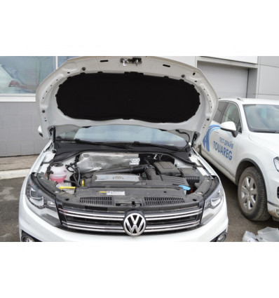 Амортизатор (упор) капота на Volkswagen Tiguan PTU 44.03