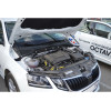 Амортизатор (упор) капота на Skoda Octavia PTU 38.01