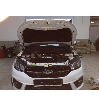 Амортизатор (упор) капота на Chery Tiggo 3 PTU 06.01