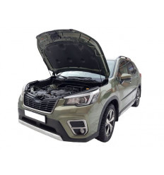 Амортизатор (упор) капота на Subaru Forester 07-04