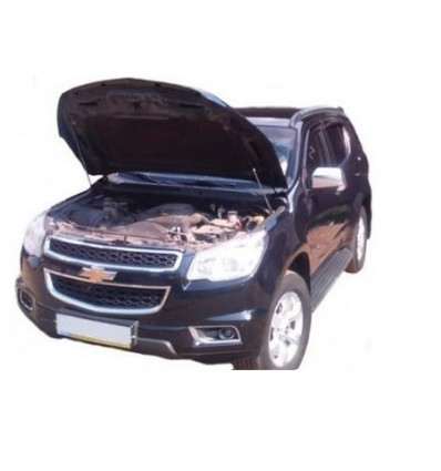 Амортизатор (упор) капота на Chevrolet Trailblazer 14-02