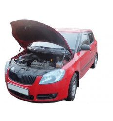 Амортизатор (упор) капота на Skoda Fabia 11-01