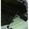 Амортизатор (упор) капота на Nissan Qashqai 01-10