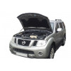 Амортизатор (упор) капота на Nissan Pathfinder 01-06