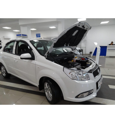 Амортизатор (упор) капота на Chevrolet Aveo KU-RV-R300-00