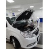 Амортизатор (упор) капота на Chevrolet Aveo KU-RV-R300-00