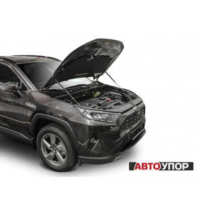 Амортизатор (упор) капота на Toyota RAV 4 UTORAV031