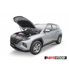 Амортизатор (упор) капота на Hyundai Tucson UHYTUC021