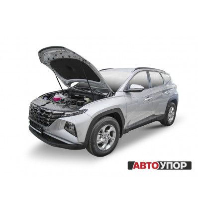 Амортизатор (упор) капота на Hyundai Tucson UHYTUC021