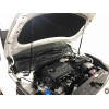 Амортизатор (упор) капота на Kia Cerato ARBORI.HD.022105