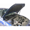 Амортизаторы (упоры) капота на Hyundai Elantra ARBORI.HD.016104