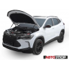 Амортизатор (упор) капота на Chevrolet Tracker UCHTRC011