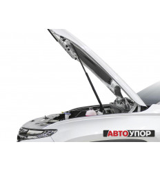 Амортизатор (упор) капота на Hyundai Tucson UHYTUC021